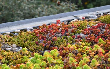 the cost of Barnby In The Willows green roof installation