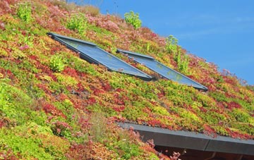 Barnby In The Willows living roof systems